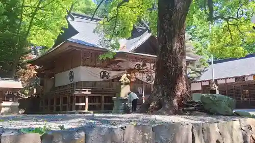 阿伎留神社の{uncategorized: "未分類", other: "その他", undefined: "問題あり", building: "その他建物", grave: "お墓", sacred_gate: "鳥居", guardian: "狛犬", statue: "像", buddha: "仏像", history: "歴史", nature: "自然", garden: "庭園", animal: "動物", pagoda: "塔", temizu: "手水舎", mountain_gate: "山門・神門", sanctuary: "本殿・本堂", subordinate: "末社・摂社", art: "芸術", scenery: "景色", jizo: "地蔵", ema: "絵馬", goshuin: "御朱印", omikuji: "おみくじ", items: "授与品その他", amulet: "お守り", goshuincho: "御朱印帳", eats: "食事", festival: "お祭り", votive_dance: "神楽", shichigosan: "七五三参", wedding: "結婚式", experience: "体験その他", initially: "初詣", around: "周辺", anti_infection: "感染症対策"}