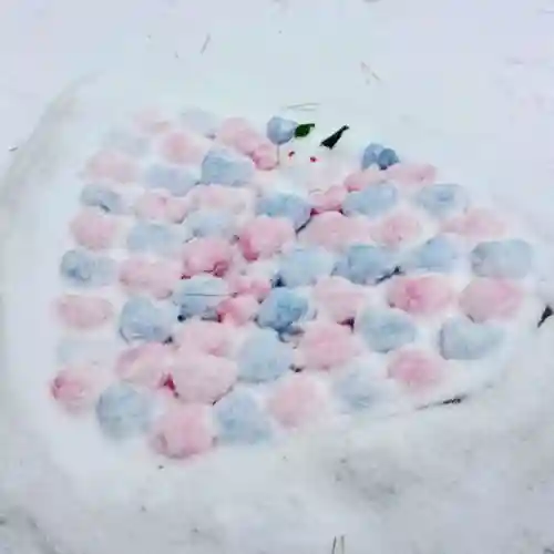 彌彦神社　(伊夜日子神社)(北海道)