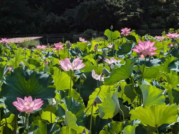 霊泉寺(岐阜県)
