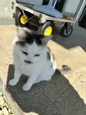 宝泉寺(神奈川県)