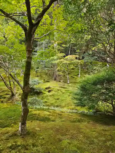 慈照寺（慈照禅寺・銀閣寺）(京都府)