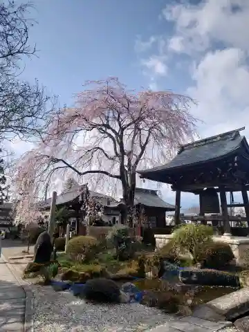 東光寺の{uncategorized: "未分類", other: "その他", undefined: "問題あり", building: "その他建物", grave: "お墓", sacred_gate: "鳥居", guardian: "狛犬", statue: "像", buddha: "仏像", history: "歴史", nature: "自然", garden: "庭園", animal: "動物", pagoda: "塔", temizu: "手水舎", mountain_gate: "山門・神門", sanctuary: "本殿・本堂", subordinate: "末社・摂社", art: "芸術", scenery: "景色", jizo: "地蔵", ema: "絵馬", goshuin: "御朱印", omikuji: "おみくじ", items: "授与品その他", amulet: "お守り", goshuincho: "御朱印帳", eats: "食事", festival: "お祭り", votive_dance: "神楽", shichigosan: "七五三参", wedding: "結婚式", experience: "体験その他", initially: "初詣", around: "周辺", anti_infection: "感染症対策"}
