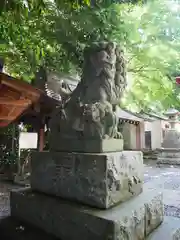 南沢氷川神社の狛犬