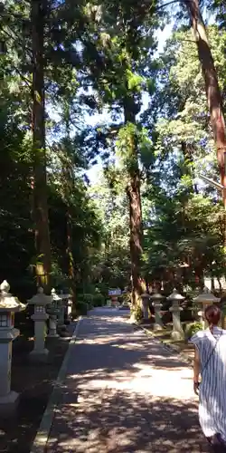 苗村神社の建物その他