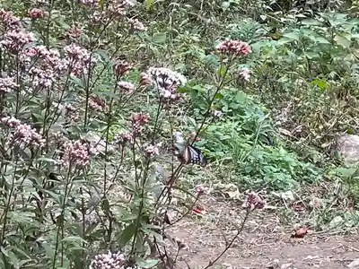 成田山不動寺の自然