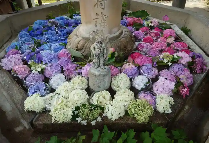 三室戸寺(京都府)