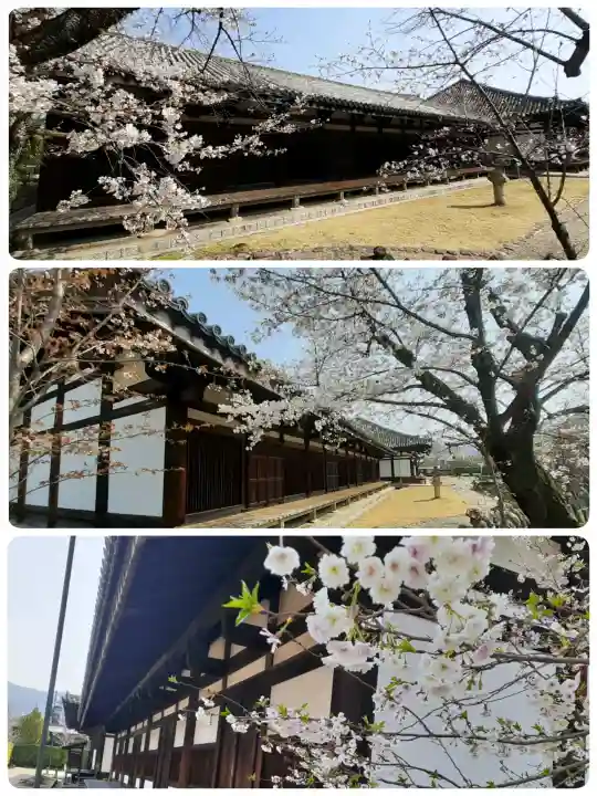 元興寺の{uncategorized: "未分類", other: "その他", undefined: "問題あり", building: "その他建物", grave: "お墓", sacred_gate: "鳥居", guardian: "狛犬", statue: "像", buddha: "仏像", history: "歴史", nature: "自然", garden: "庭園", animal: "動物", pagoda: "塔", temizu: "手水舎", mountain_gate: "山門・神門", sanctuary: "本殿・本堂", subordinate: "末社・摂社", art: "芸術", scenery: "景色", jizo: "地蔵", ema: "絵馬", goshuin: "御朱印", omikuji: "おみくじ", items: "授与品その他", amulet: "お守り", goshuincho: "御朱印帳", eats: "食事", festival: "お祭り", votive_dance: "神楽", shichigosan: "七五三参", wedding: "結婚式", experience: "体験その他", initially: "初詣", around: "周辺", anti_infection: "感染症対策"}