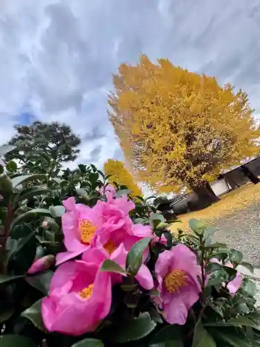 慧光寺(京都府)