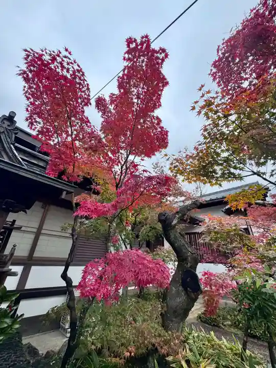 曇華院門跡(京都府)