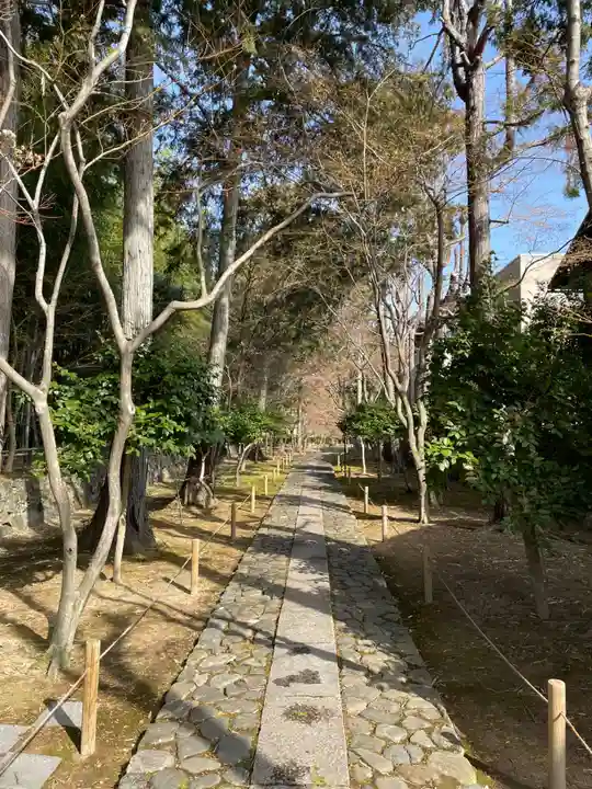 鹿王院(京都府)