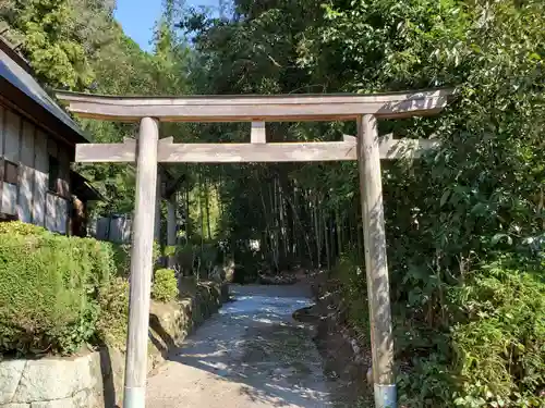 素盞嗚神社の鳥居