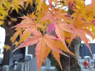 總社大神宮(福井県)