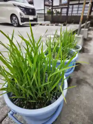 大鏑神社(福島県)