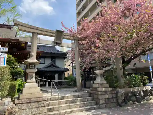 白龍神社の鳥居