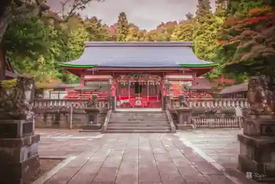 遠野郷八幡宮(岩手県)