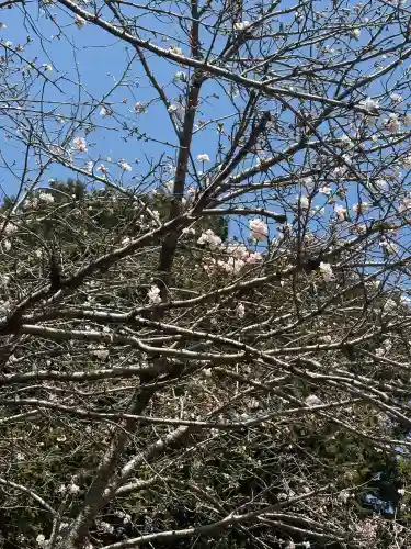 忠興八幡神社の{uncategorized: "未分類", other: "その他", undefined: "問題あり", building: "その他建物", grave: "お墓", sacred_gate: "鳥居", guardian: "狛犬", statue: "像", buddha: "仏像", history: "歴史", nature: "自然", garden: "庭園", animal: "動物", pagoda: "塔", temizu: "手水舎", mountain_gate: "山門・神門", sanctuary: "本殿・本堂", subordinate: "末社・摂社", art: "芸術", scenery: "景色", jizo: "地蔵", ema: "絵馬", goshuin: "御朱印", omikuji: "おみくじ", items: "授与品その他", amulet: "お守り", goshuincho: "御朱印帳", eats: "食事", festival: "お祭り", votive_dance: "神楽", shichigosan: "七五三参", wedding: "結婚式", experience: "体験その他", initially: "初詣", around: "周辺", anti_infection: "感染症対策"}