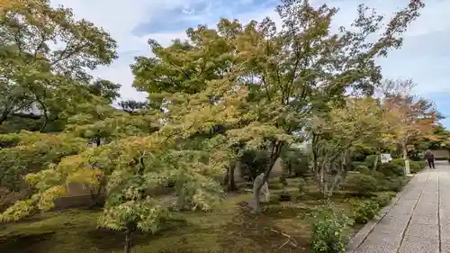芳春院(京都府)