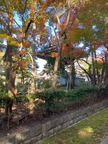 天嶽院(神奈川県)