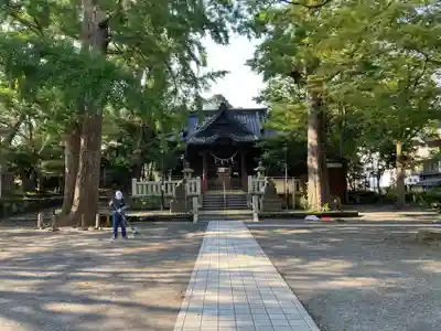 亀岡八幡宮（亀岡八幡神社）の本殿・本堂