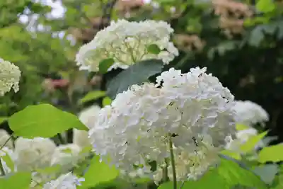 梅宮大社(京都府)