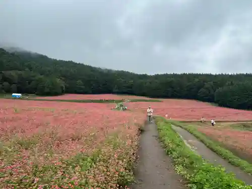 一宮神社(長野県)