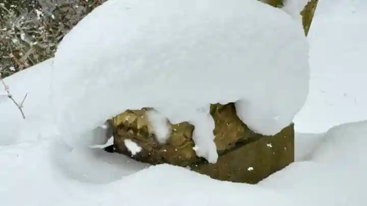 富川八幡宮の{uncategorized: "未分類", other: "その他", undefined: "問題あり", building: "その他建物", grave: "お墓", sacred_gate: "鳥居", guardian: "狛犬", statue: "像", buddha: "仏像", history: "歴史", nature: "自然", garden: "庭園", animal: "動物", pagoda: "塔", temizu: "手水舎", mountain_gate: "山門・神門", sanctuary: "本殿・本堂", subordinate: "末社・摂社", art: "芸術", scenery: "景色", jizo: "地蔵", ema: "絵馬", goshuin: "御朱印", omikuji: "おみくじ", items: "授与品その他", amulet: "お守り", goshuincho: "御朱印帳", eats: "食事", festival: "お祭り", votive_dance: "神楽", shichigosan: "七五三参", wedding: "結婚式", experience: "体験その他", initially: "初詣", around: "周辺", anti_infection: "感染症対策"}