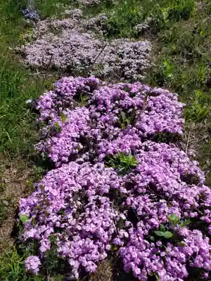 高司神社〜むすびの神の鎮まる社〜(福島県)