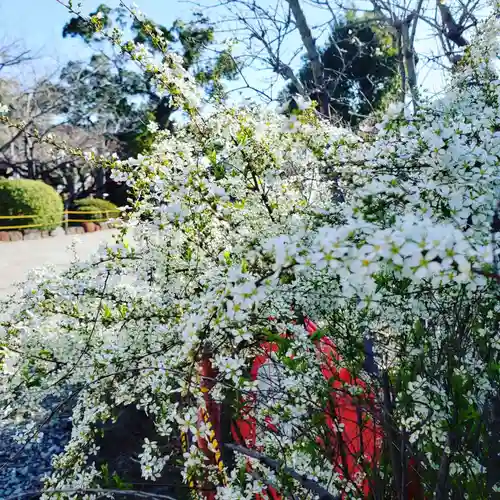 牛嶋天満宮の自然