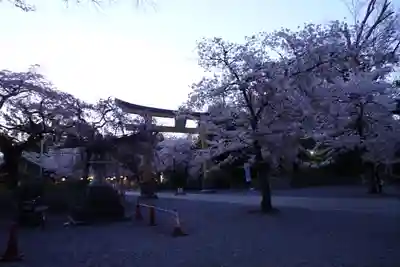 平野神社のその他建物