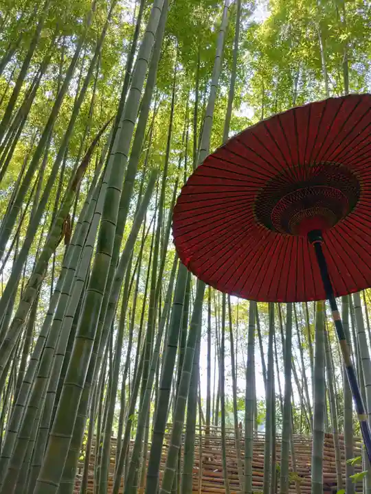 雲昌寺(秋田県)