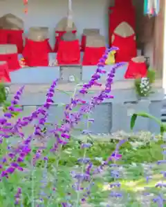 寿量山 速成寺の地蔵(2020年10月13日(火) 16時25分00秒投稿)