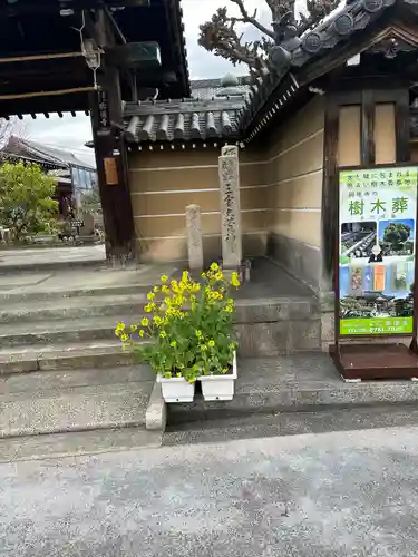 興徳寺の庭園