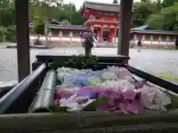 大鳥神社の手水舎