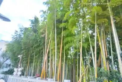 不知森神社(千葉県)