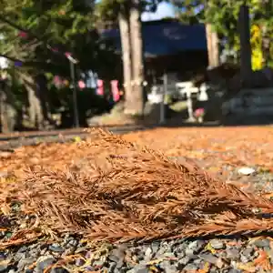 高司神社〜むすびの神の鎮まる社〜のその他建物(2022年11月17日(木) 21時45分59秒投稿)