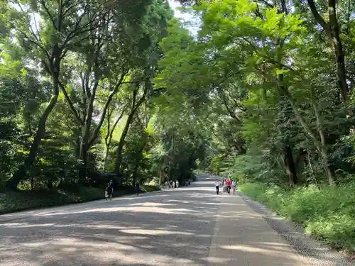 明治神宮(東京都)