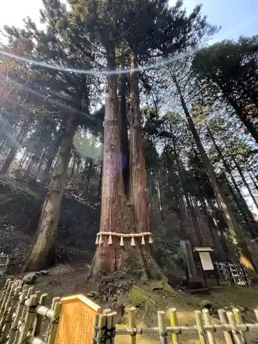 御岩神社の自然