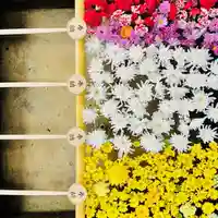 土津神社|こどもと出世の神さま(福島県)