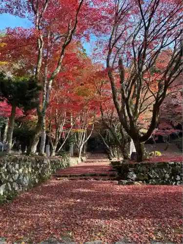 鶏足寺(滋賀県)