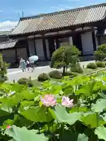 東寺(教王護国寺)の自然