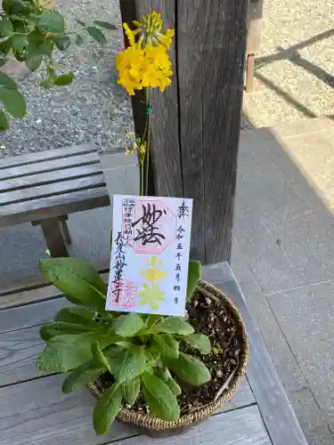 妙蓮寺(神奈川県)