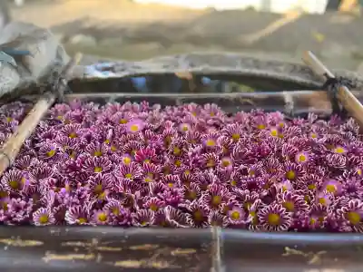 立志神社(滋賀県)