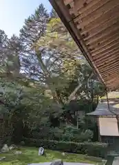 龍潭寺(滋賀県)