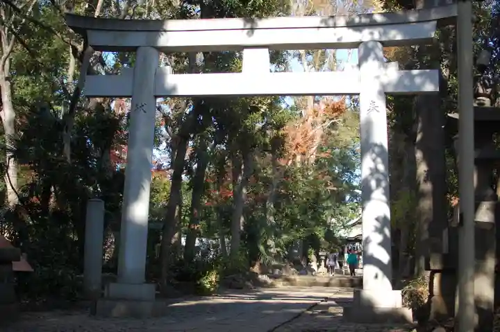 代々木八幡宮の鳥居