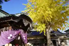 鹿島御子神社の自然