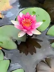 太融寺(大阪府)