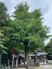 下総国三山　二宮神社(千葉県)