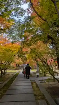 興聖寺(京都府)