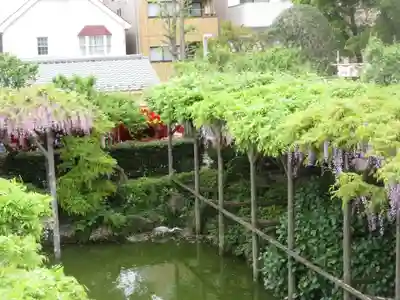 亀戸天神社(東京都)
