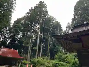 大宮温泉神社(栃木県)(2022年09月08日(木) 17時47分27秒投稿)